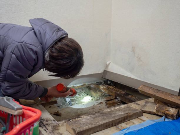 Best Post-Construction Mold Inspection  in Latimer, MS