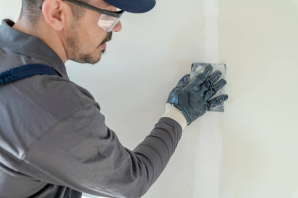  Latimer, MS Mold Removal Pros